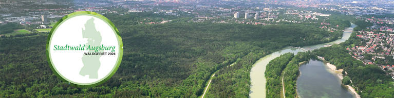 Waldgebiet des Jahres 2024